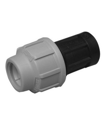 RACCORDO FEMMINA DIANFLEX PER POLIETILENE 1"1/2 x 50