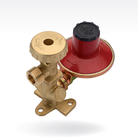 MINICENTRALINA PER 1 BOMBOLA MOD. Y LPZ4 viti 4 Kg