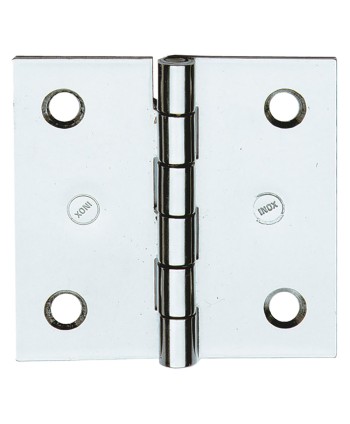 CERNIERA IN ACCIAIO INOX ART.850IN mm 60 x 50