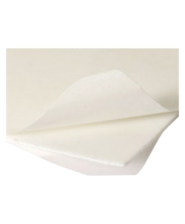 FELTRINO BIADESIVO mm 85 x 100 pz. 1 cf. 50 pz