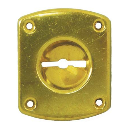 MOSTRINA RETTANGOLARE DOPPIA MAPPA 31 CR OTTONE INCAVO MM  8 MM 46X30
